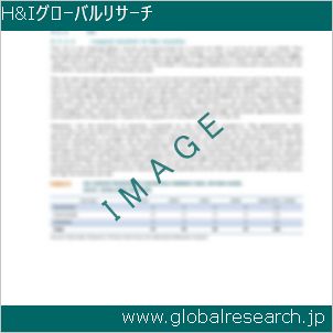 グローバルリサーチ調査レポートのイメージ